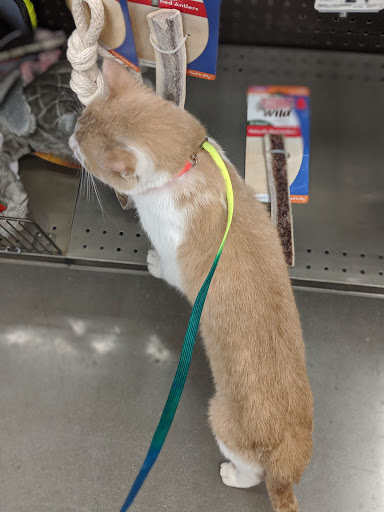 Pet Supply Store «Petco Animal Supplies», reviews and photos, 12444 NW 10th St #301, Yukon, OK 73099, USA