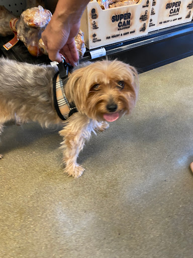 Pet Store «Choice Pet Market», reviews and photos, 4719 N 20th St A30, Phoenix, AZ 85016, USA