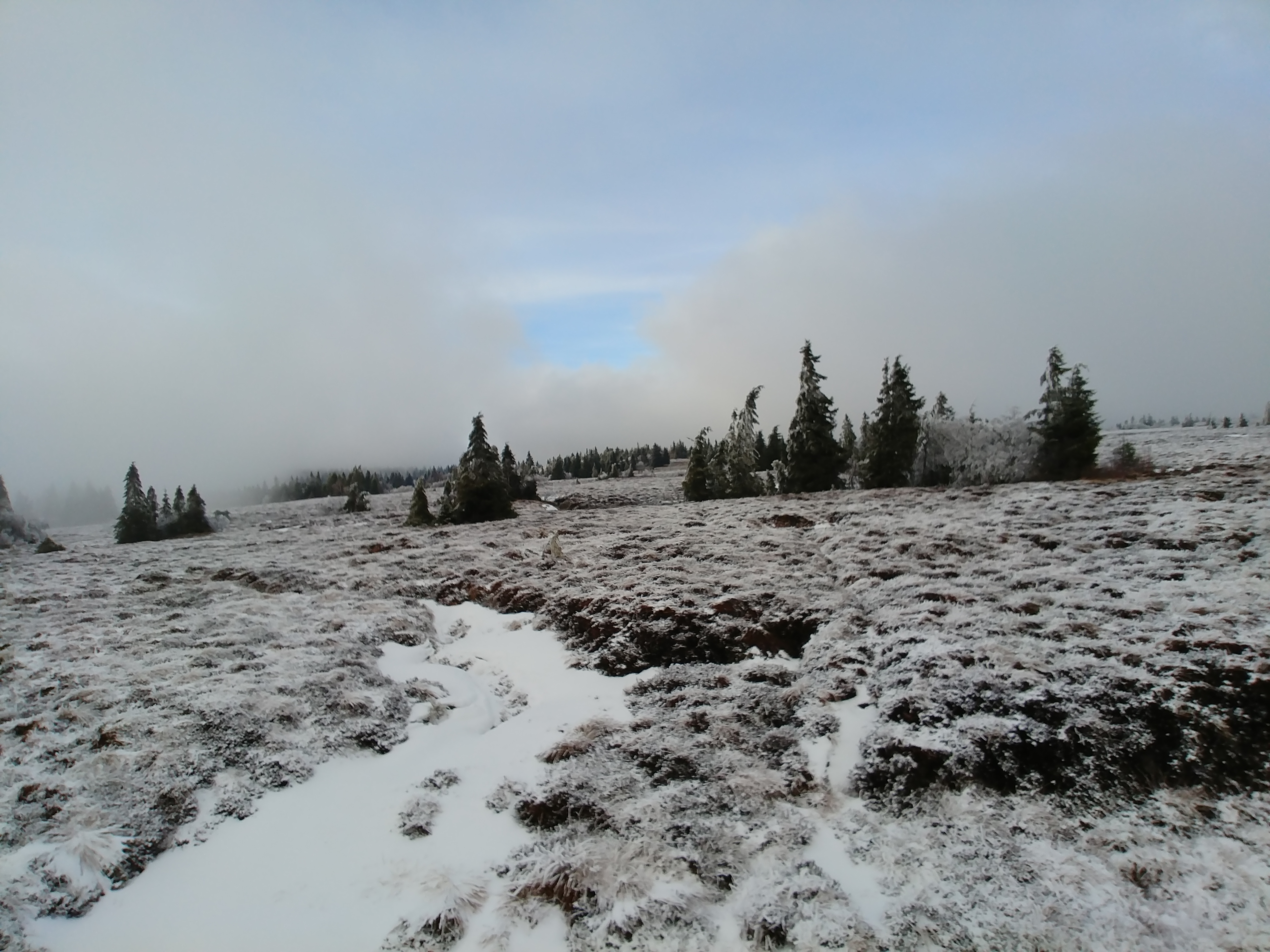 Photo n° 3 de l'avis de François.e fait le 06/03/2019 à 11:46
