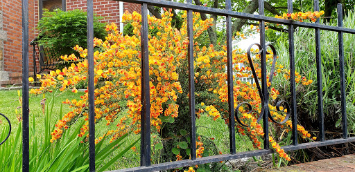 Grocery Store «Marino Brothers Supermarket», reviews and photos, 16307 29th Ave, Flushing, NY 11358, USA