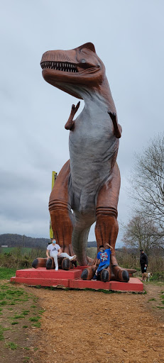 Gift Shop «Wild Wonderful Gift Shop», reviews and photos, 803 Mammoth Cave Rd, Cave City, KY 42127, USA