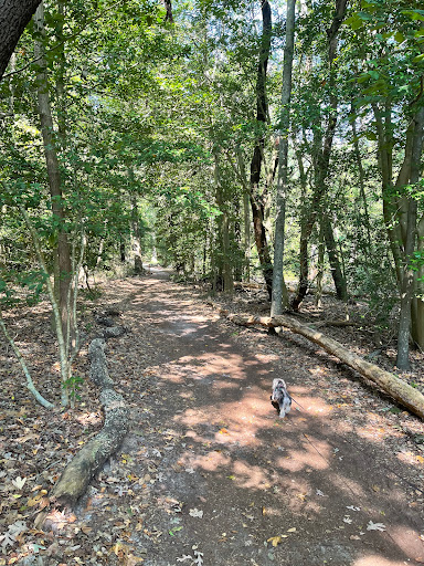 Nature Preserve «James Farm Ecological Preserve», reviews and photos, 30048 Cedar Neck Rd, Ocean View, DE 19970, USA