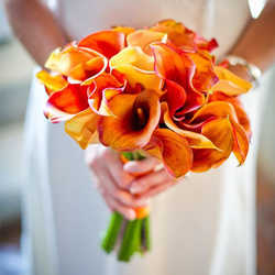 Florist «BunchesDirect», reviews and photos, 7068 NW 50th St, Miami, FL 33166, USA