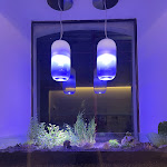 Photo n°2 de l'avis de Flavia.a fait le 17/11/2022 à 23:15 sur le  spazio o - spirito mediterraneo à Catania