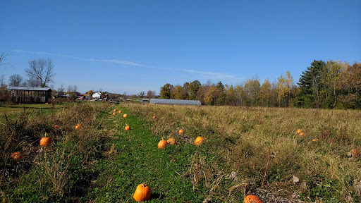 Country Dreams Farm image 8