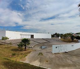 State School of Fine Arts photo