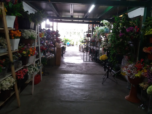 COMERCIALIZADORA ALAMEDA Flores Para Toda Ocasión