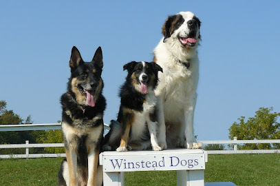 Winstead Dogs-Training & Boarding