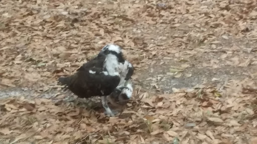 Self-Storage Facility «Storage Rentals of America», reviews and photos, 10 Self Storage Rd, Beaufort, SC 29906, USA