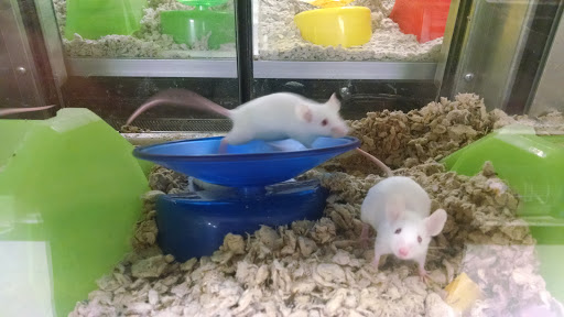 Pet Supply Store «Petco Animal Supplies», reviews and photos, 8010 Wedgewood Ln N, Maple Grove, MN 55369, USA