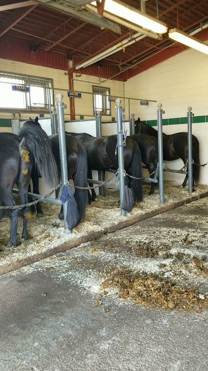 RCMP Stables