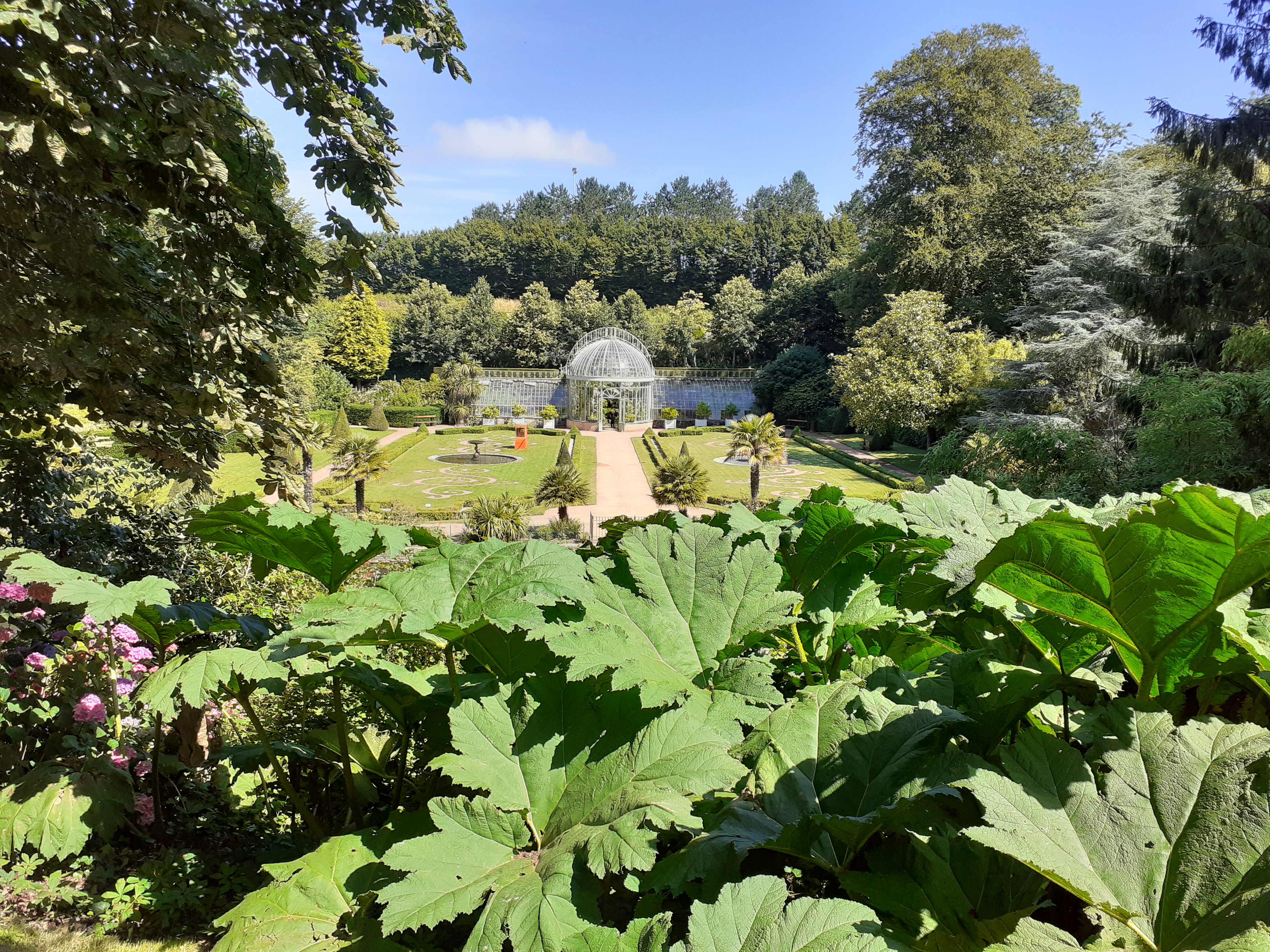 Photo n° 3 de l'avis de Sylvain. fait le 20/07/2020 à 12:05