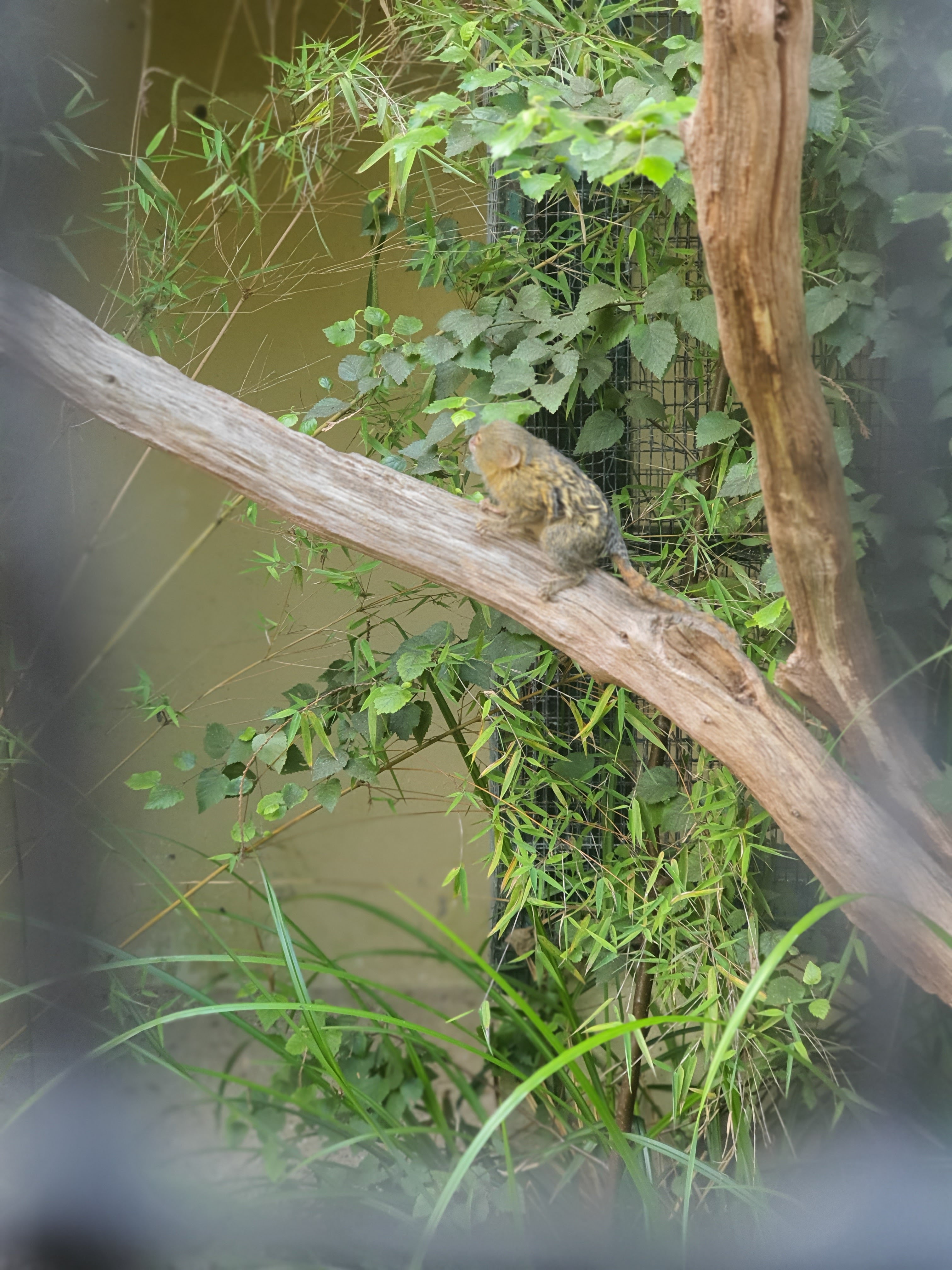 Photo n° 4 de l'avis de Mylene.o fait le 17/07/2023 à 15:57