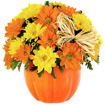 Florist «Cute Flowers & Gifts», reviews and photos, 3294 El Camino Real, Santa Clara, CA 95051, USA