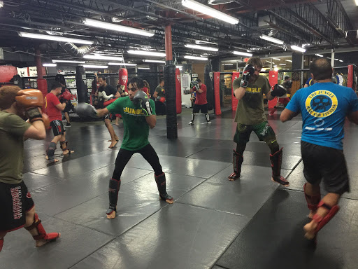 The Jungle MMA and Fitness