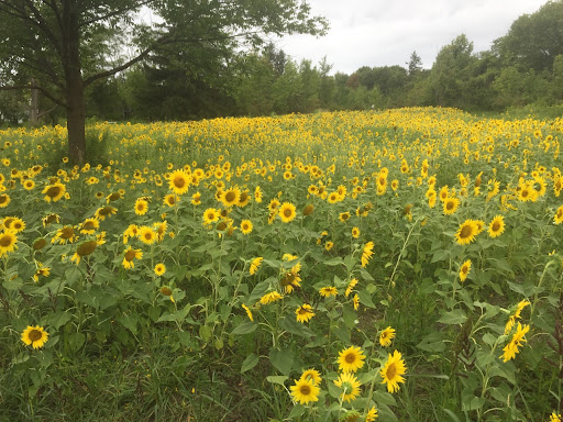 Park «Gratiot Park», reviews and photos, NY-5 & Point Dr W, Dunkirk, NY 14048, USA