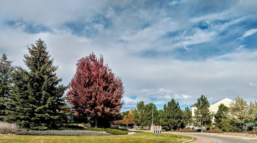 Fabric Store «Jo-Ann Fabrics and Crafts», reviews and photos, 1601 Fall River Dr, Loveland, CO 80537, USA