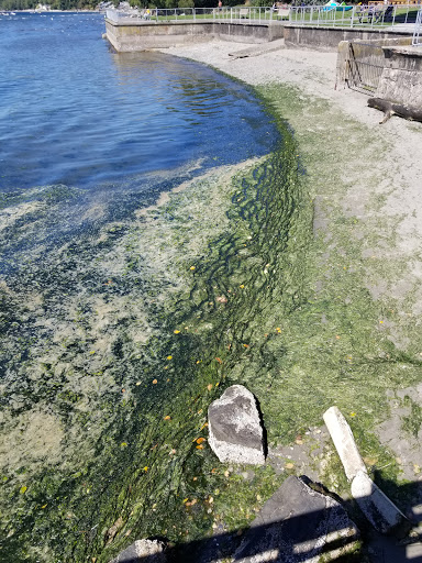 Conference Center «Des Moines Beach Park Auditorium», reviews and photos, 22030 Cliff Ave S, Des Moines, WA 98198, USA