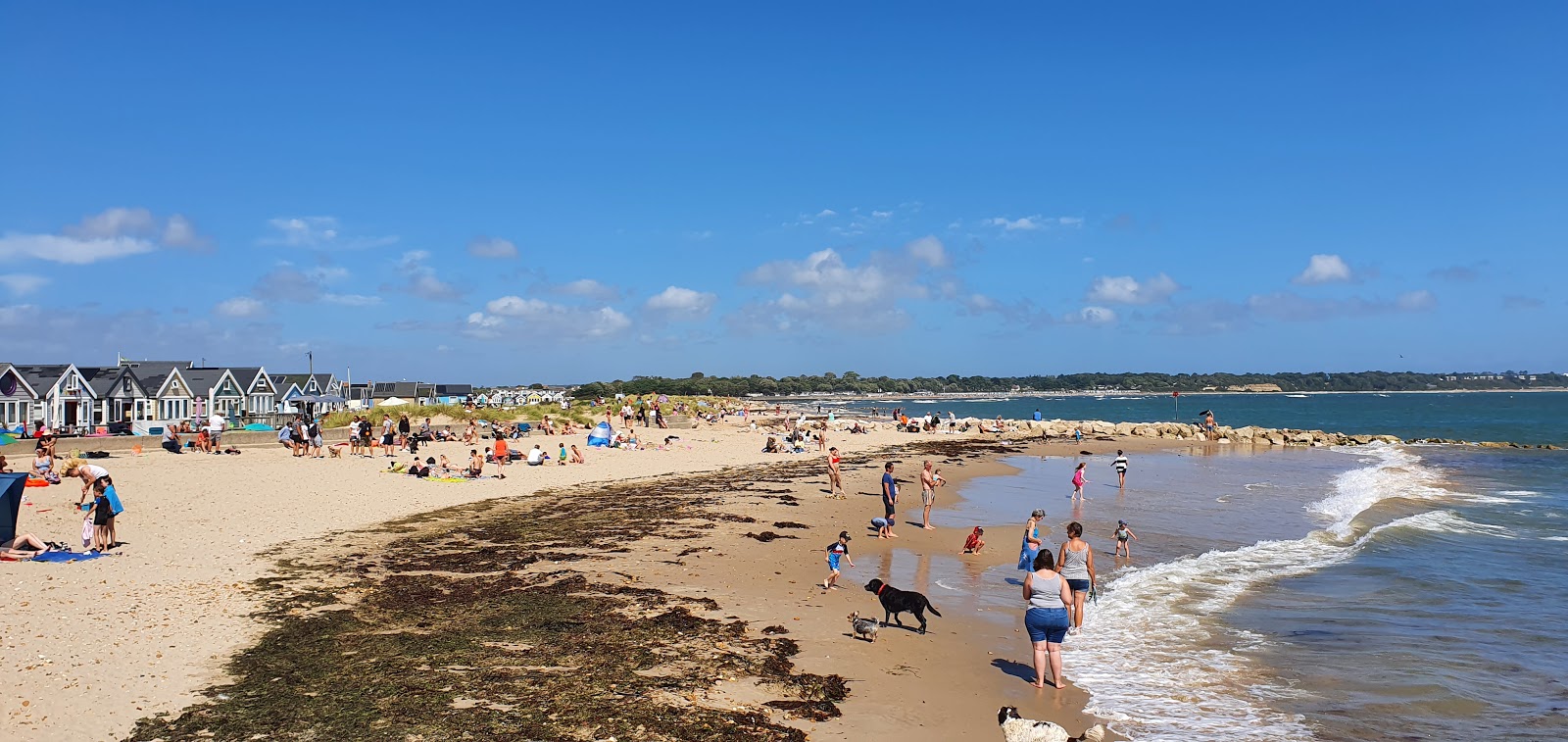 Hengistbury Head Sandspit的照片 带有明亮的沙子表面