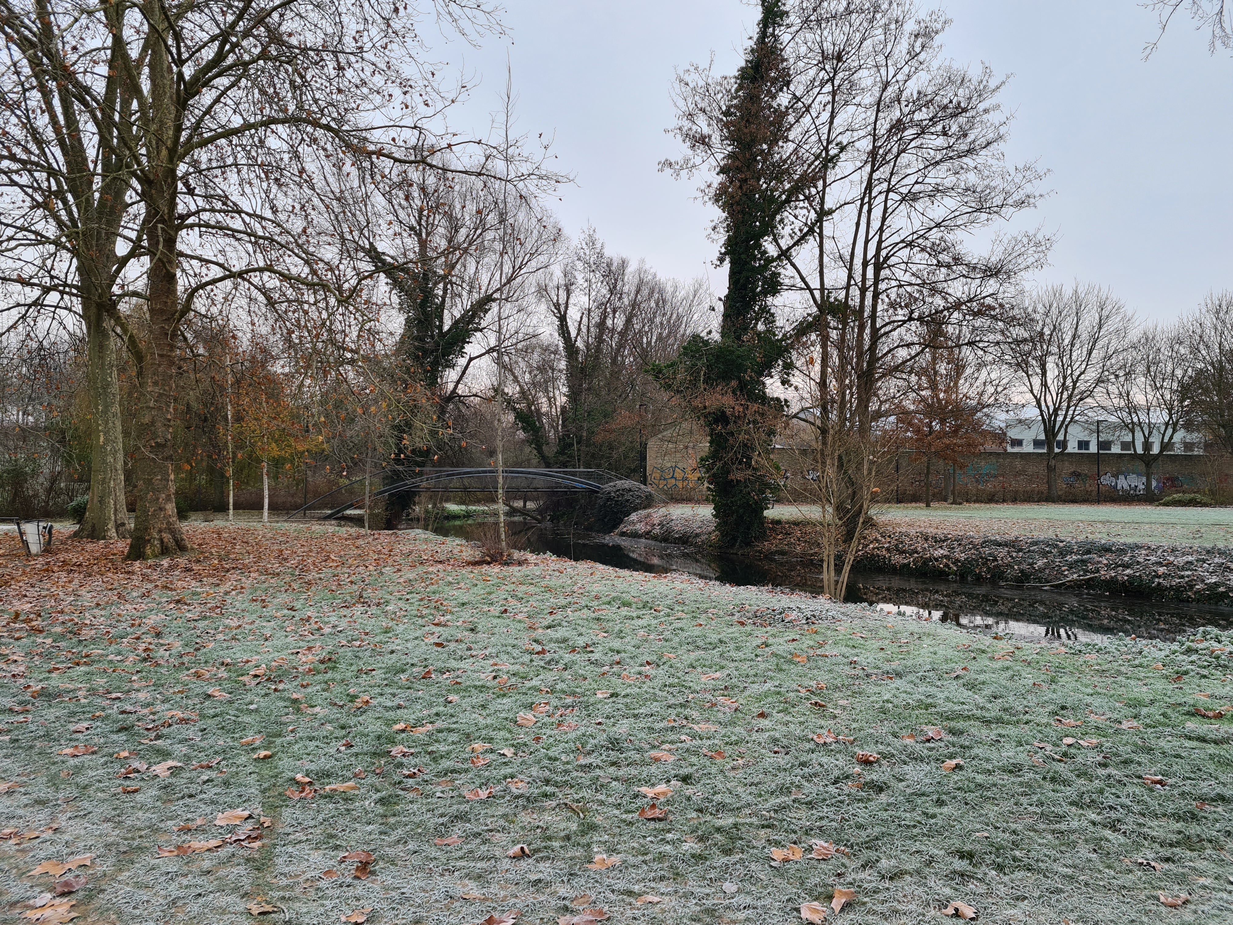 Photo n° 2 de l'avis de Sandrine.y fait le 22/12/2022 à 07:43