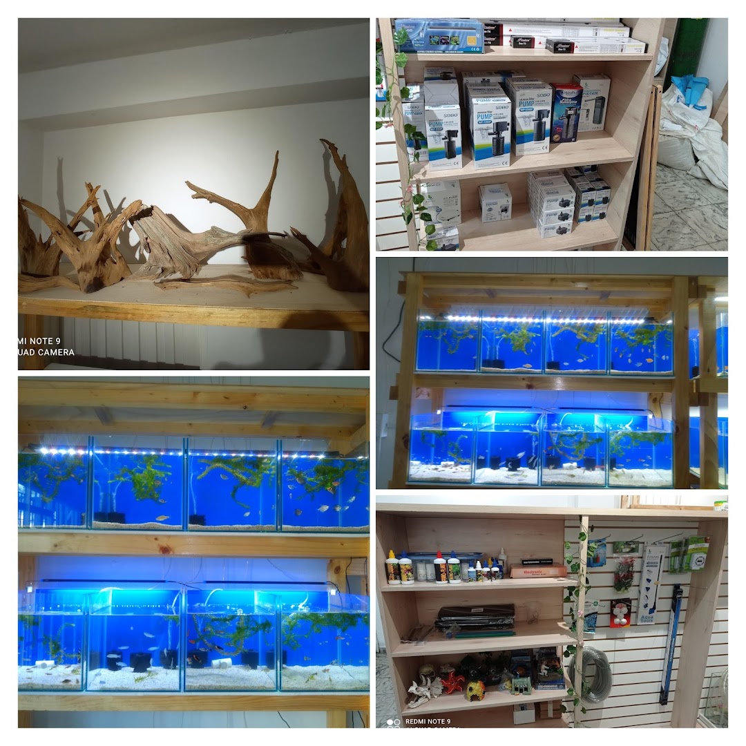 Hobby Aquarium Colombia (Tienda de peces Cali)