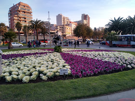 Reloj De Flores