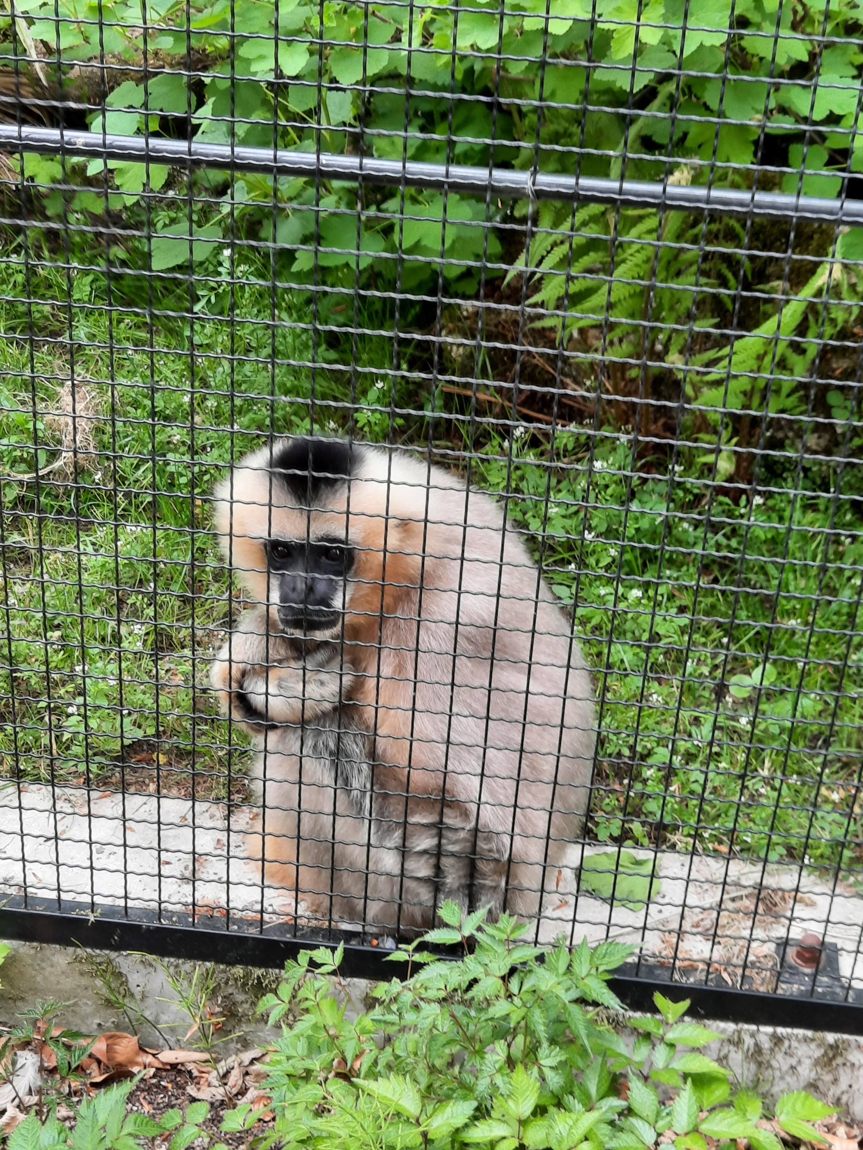 Photo n° 1 de l'avis de Laetitia.o fait le 07/05/2022 à 05:45