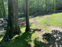 Rivera Tree & Landscaping Services - Photo 9 - Car repair in , Danbury