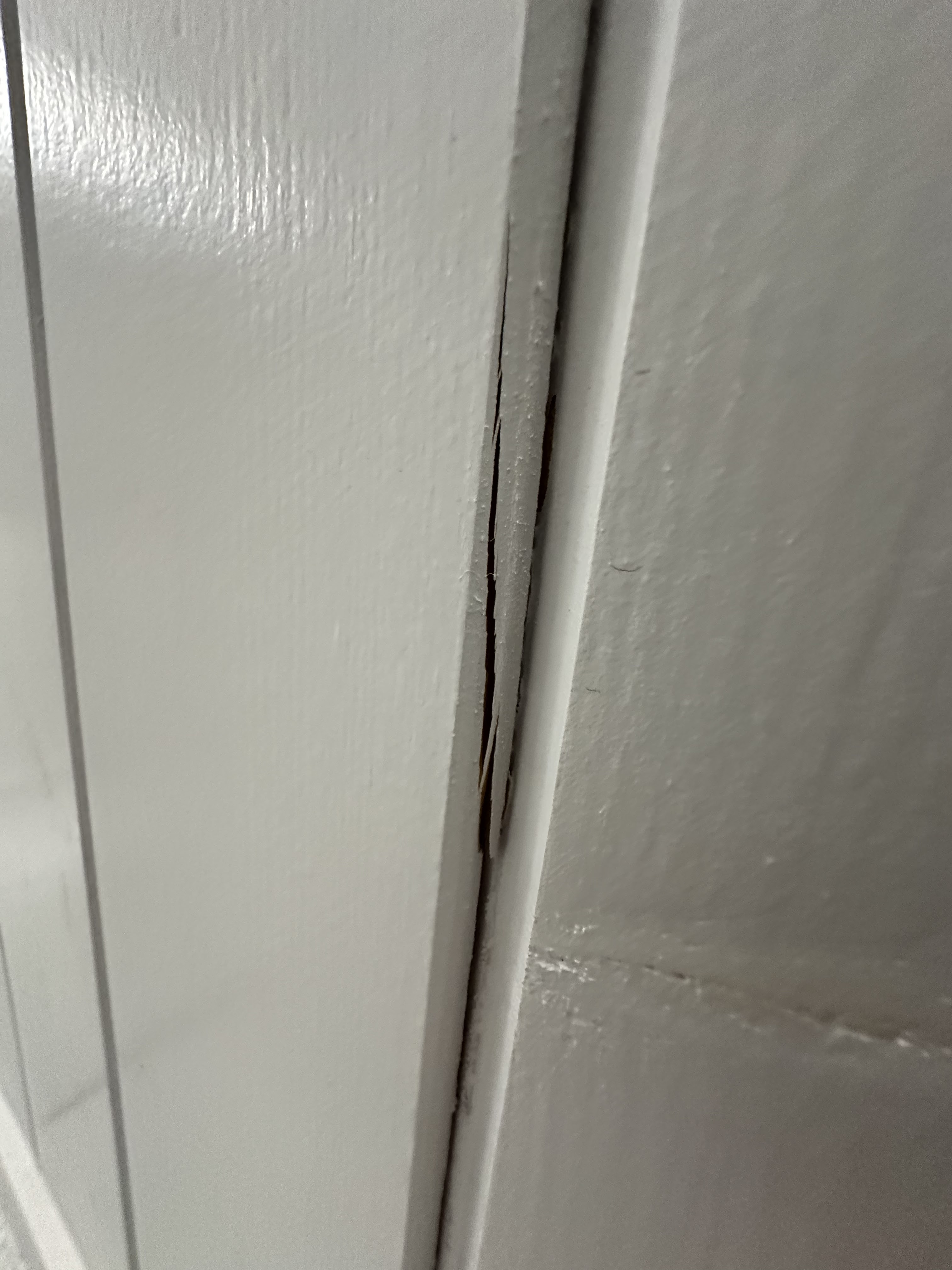 Photo n° 5 de l'avis de Maloue. fait le 29/01/2024 à 16:54