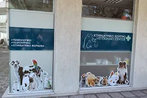 Veterinary Center Kifissia / ΚΤΗΝΙΑΤΡΙΚΟ ΚΕΝΤΡΟ ΚΗΦΙΣΙΑ image