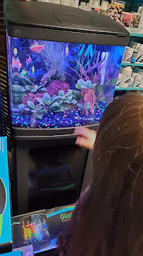 Aquatic Creations Ltd - Photo 8 - Car repair in Ijamsville, MD, Frederick