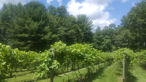 Vineyard «Di Grazia Vineyards & Winery», reviews and photos, 131 Tower Rd, Brookfield, CT 06804, USA