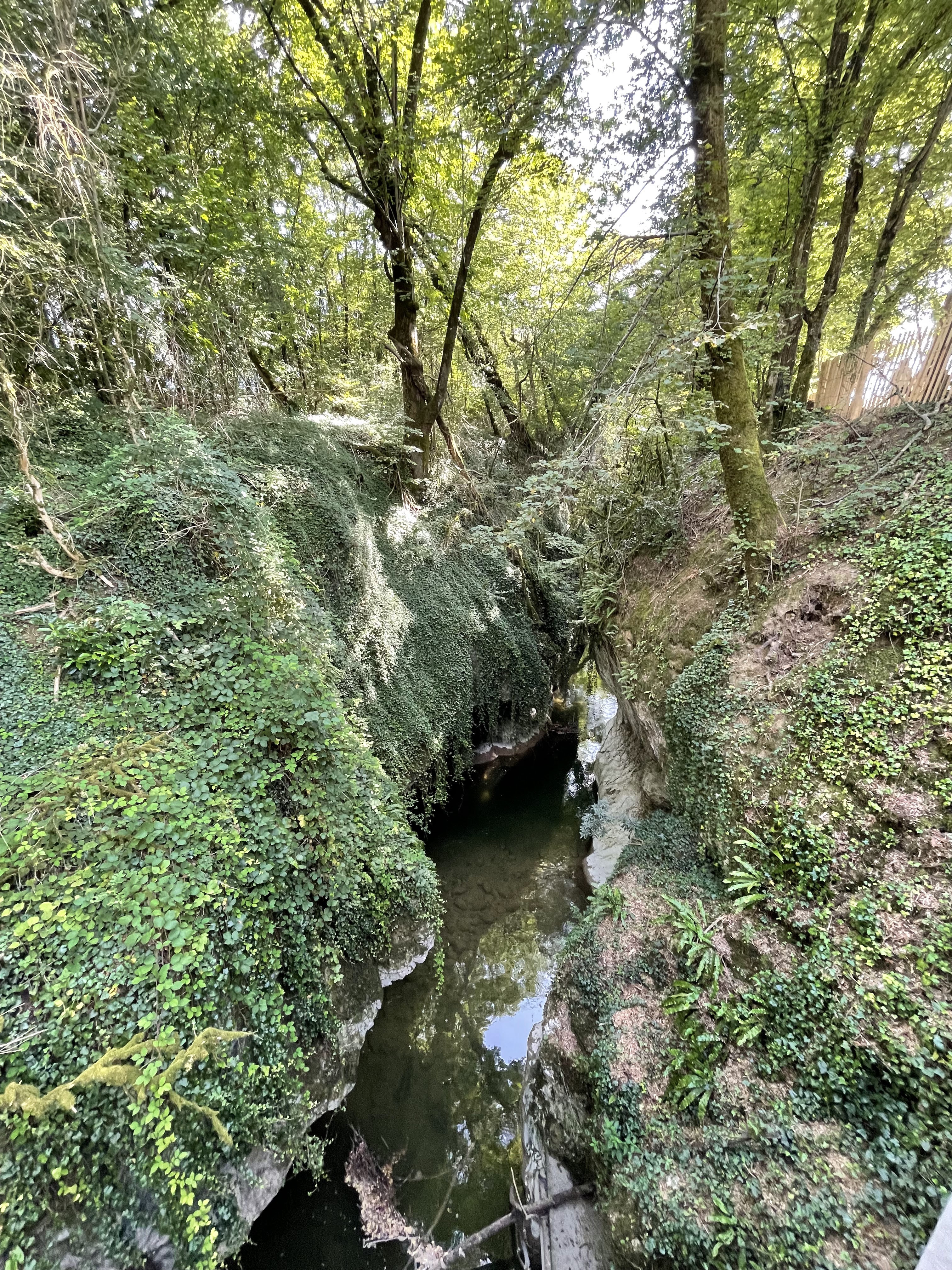 Photo n° 2 de l'avis de gaelle.e fait le 18/08/2021 à 15:06