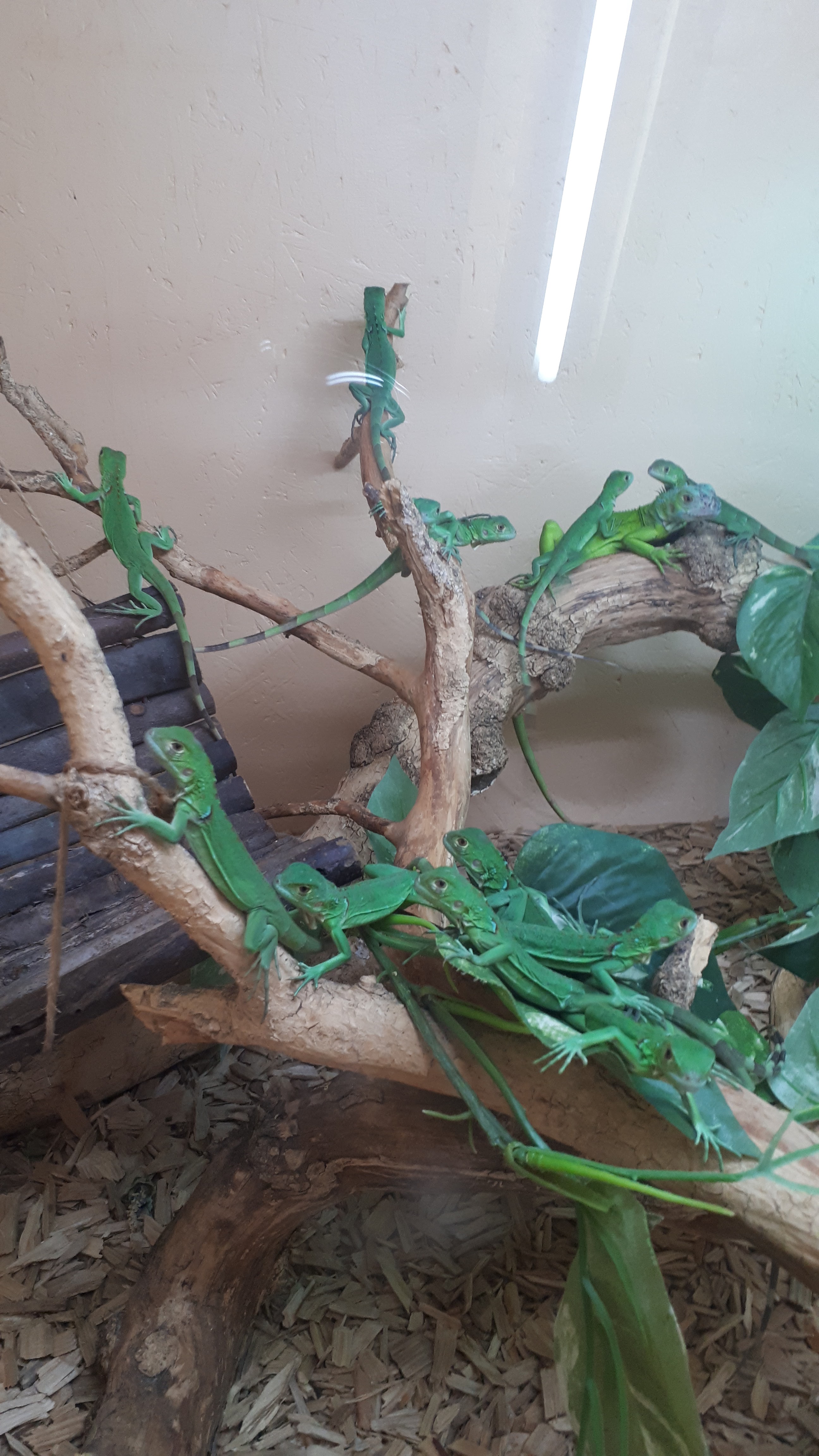 Photo n° 2 de l'avis de Sophie.P fait le 04/08/2019 à 12:50