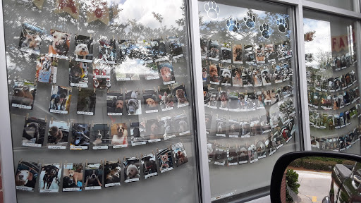 Shopping Mall «Northlake Tower Festival Shopping Center», reviews and photos, 4073 Lavista Rd, Tucker, GA 30084, USA