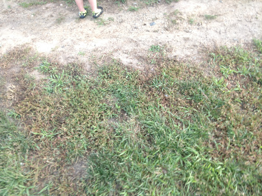 Park «Sargent Park», reviews and photos, 3530 E Douglas Ave, Des Moines, IA 50317, USA