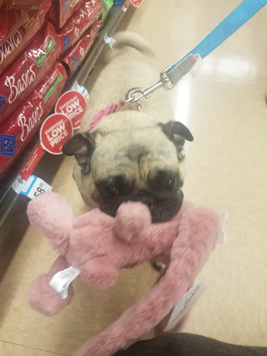 Pet Supply Store «Petco Animal Supplies», reviews and photos, 3055 N President George Bush Hwy, Garland, TX 75040, USA