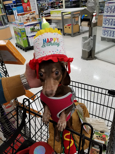 Pet Supply Store «Petco Animal Supplies», reviews and photos, 27111 167th Pl SE #113, Covington, WA 98042, USA