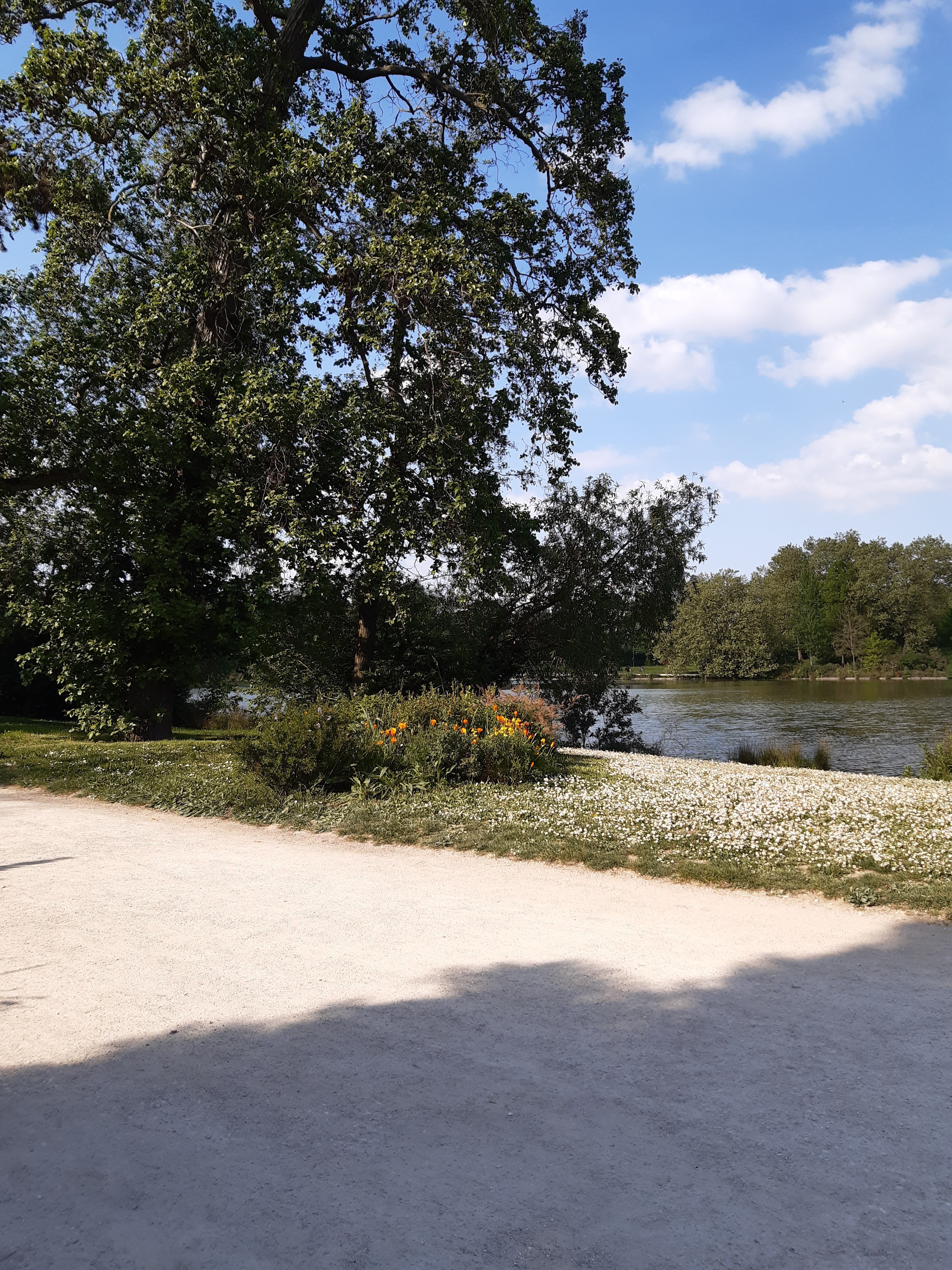 Photo n° 3 de l'avis de Pooyan.a fait le 27/04/2022 à 19:06