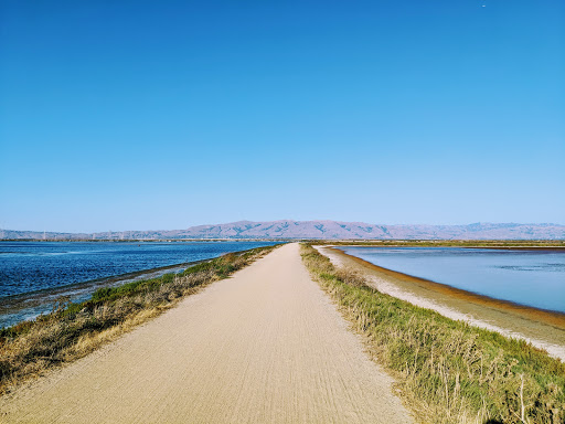 Golf Club «Golf Club Moffett Field», reviews and photos, 934 Macon Dr, Mountain View, CA 94043, USA