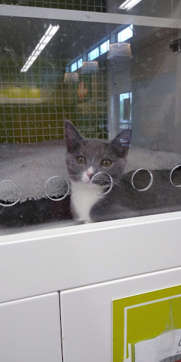 Pet Supply Store «PetSmart», reviews and photos, 5890 Trussville Crossings Pkwy, Birmingham, AL 35235, USA