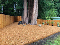 Kitsap Green Lawn Care LLC - Photo 8 - Car repair in , Bremerton