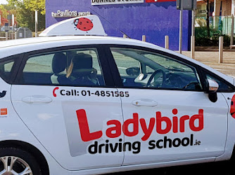 Ladybird Driving School Swords