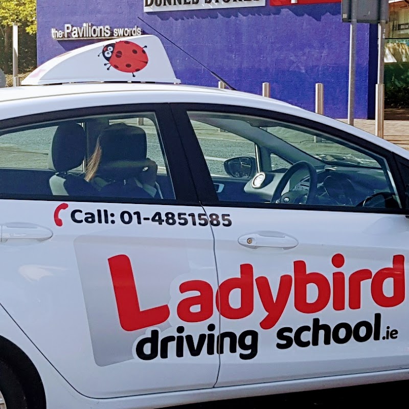 Ladybird Driving School Swords
