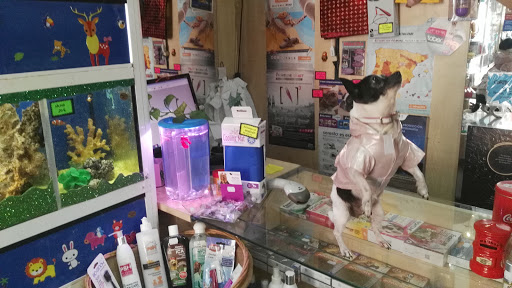 Zooaltea. Peluquería Canina Y Mascotas