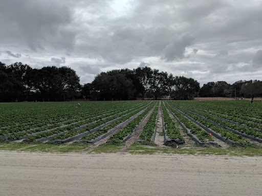 Farm «Oak Haven Farms», reviews and photos, 32418 Avington Rd, Sorrento, FL 32776, USA