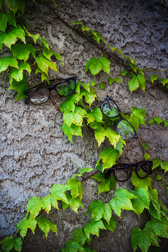 Eye Care Center «Levato Eyewear», reviews and photos, 21 Oak St, Ridgewood, NJ 07450, USA