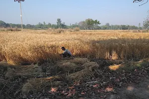 Fatehpur Tekari (PULIAPAR 2) image