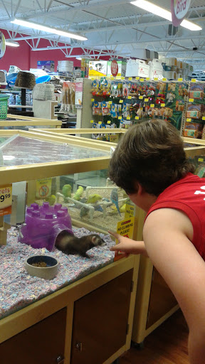 Pet Store «Pet Supermarket», reviews and photos, 12576 SW 8th St, Miami, FL 33184, USA