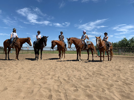 Barnwood Stables